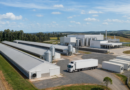 Dia Latino-Americano do Frango destaca peso da avicultura na produção e nas exportações