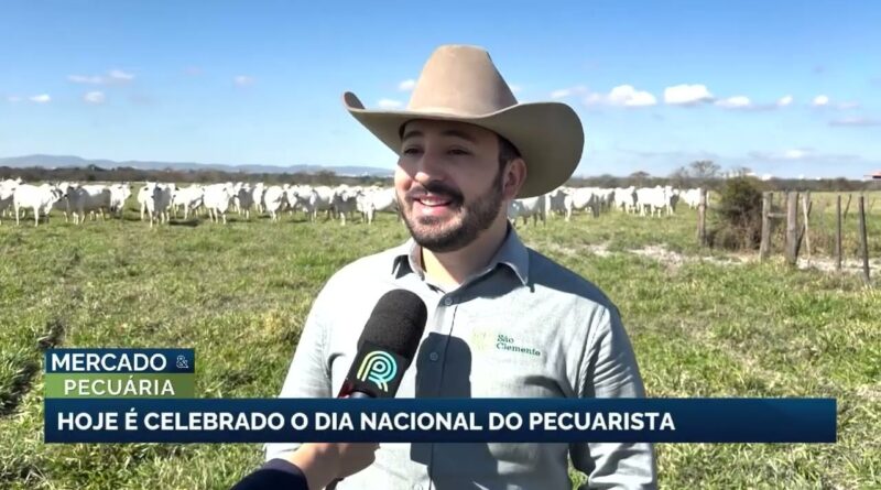 Dia Nacional do Pecuarista destaca a importância da pecuária no Brasil