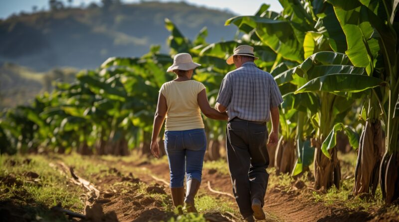 Dia do Agricultor