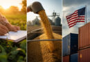 Novo Radar Rural explica os entraves na renegociação de dívidas, as mudanças no barter e os efeitos do tarifaço dos EUA no agro