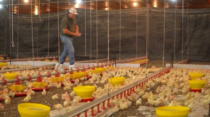 Economia circular transforma fazenda em referência de sustentabilidade em São Paulo