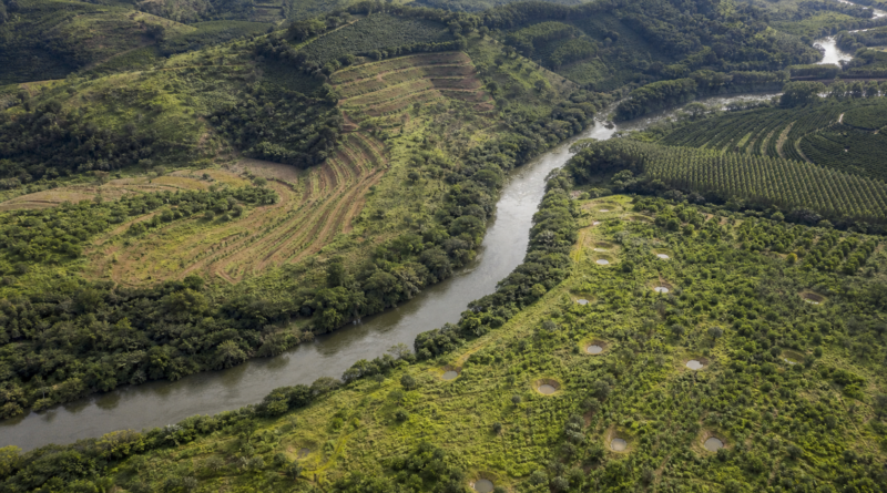 Edital destina R$ 618,75 milhões para restaurar 12,5 mil hectares na Bacia do Rio Doce