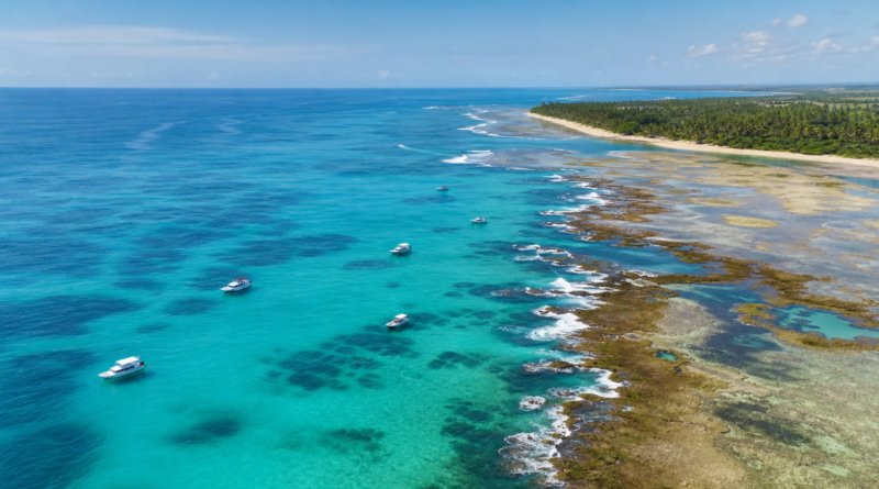 Estudo aponta que ruído de barcos afeta comunicação sonora de peixes