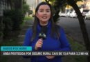 Estudo da FGV revela queda na área com seguro rural e crescimento de resseguradoras