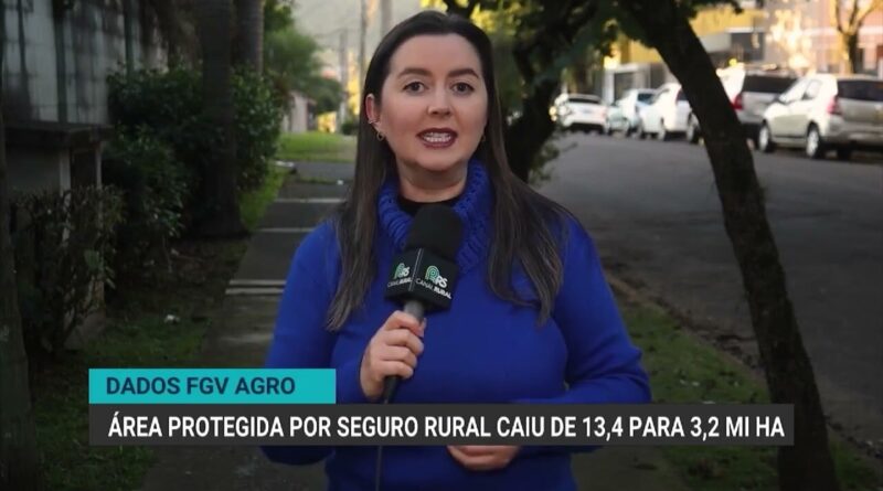 Estudo da FGV revela queda na área com seguro rural e crescimento de resseguradoras