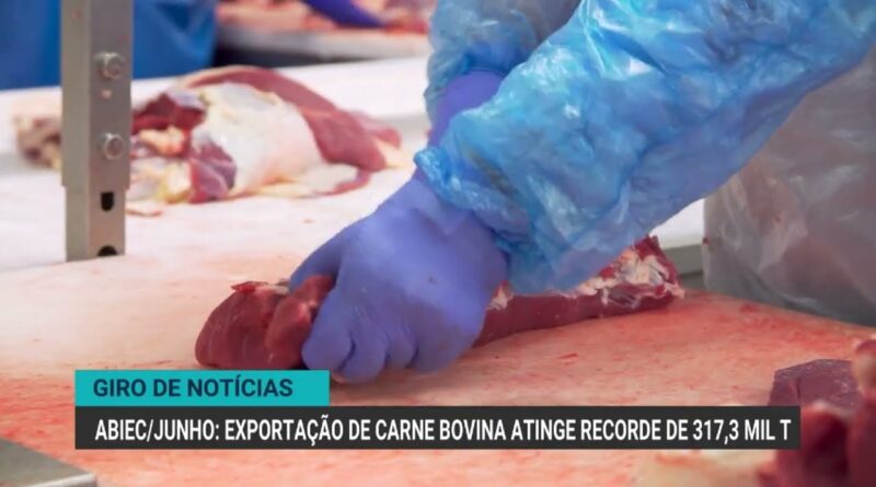 Exportação de carne bovina bate recorde, suco de laranja e etanol caem
