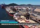 Exportações de milho para o Irã aquecem mercado de grãos no Brasil