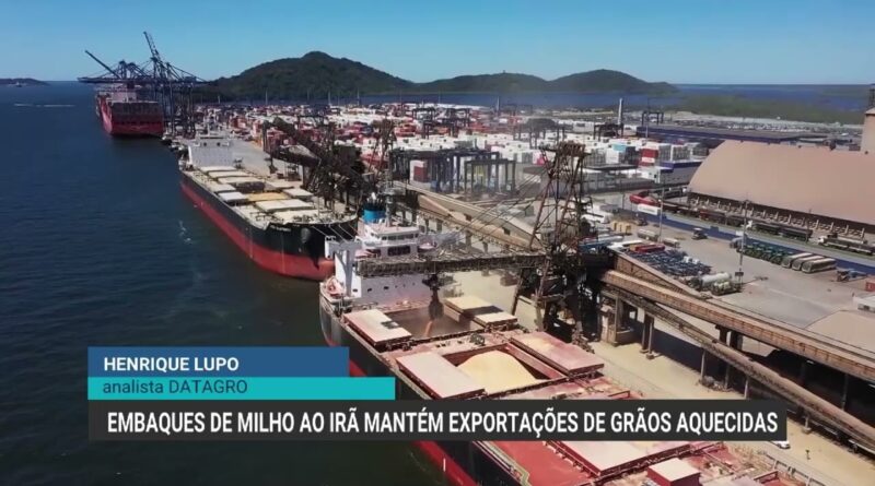 Exportações de milho para o Irã aquecem mercado de grãos no Brasil