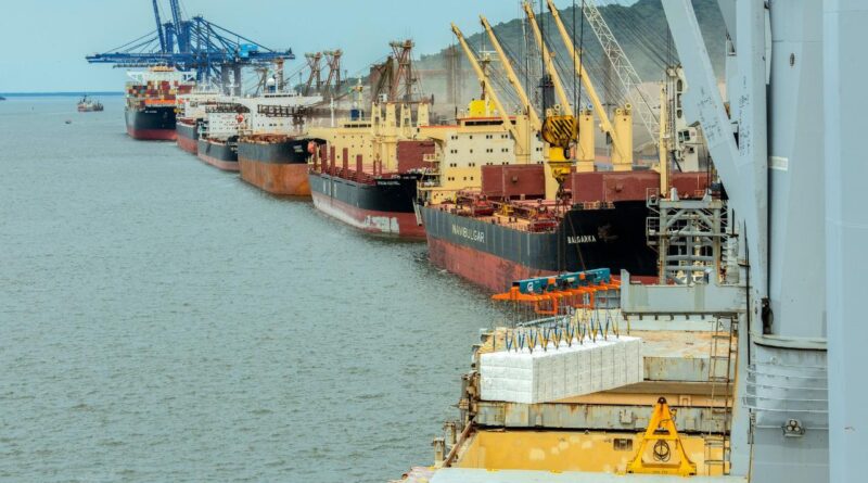 alimentos, exportação
