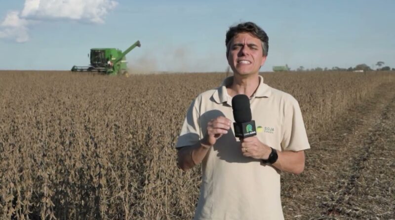 Fazenda de Itapetininga se destaca com quase 96 sacas de soja por hectare