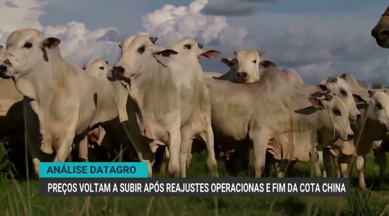 Fim da cota chinesa e ajustes operacionais elevam preço do boi gordo