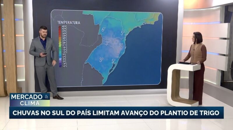 Frio e chuva afetam semeadura de trigo em diversas regiões do Brasil