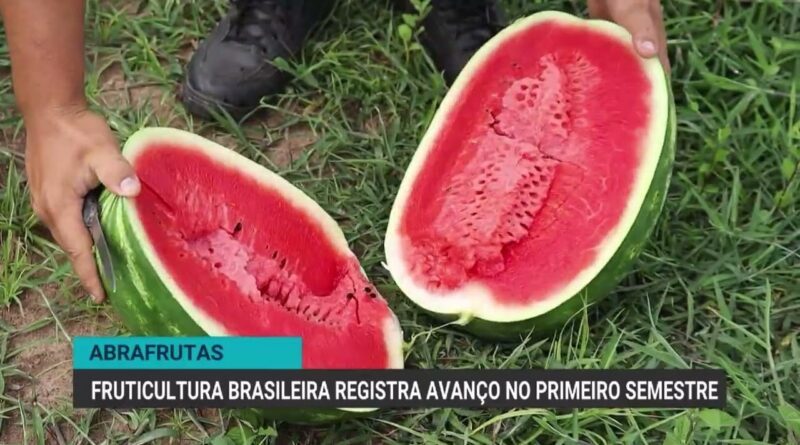 Fruticultura brasileira registra recorde de exportações em 2026