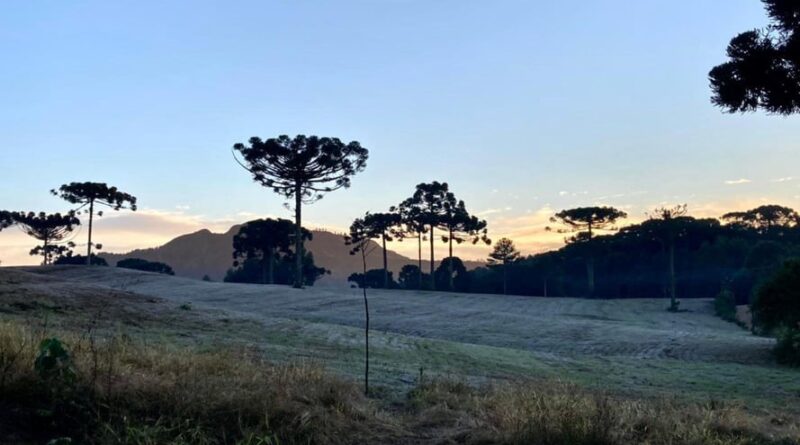 Geada no Paraná, tempo, previsão do tempo
