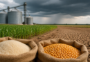 Governo anuncia compra de arroz e milho e reforço de R$ 1,3 bi contra efeitos do El Niño