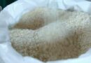 Governo prioriza desembarque de fertilizantes importados nos portos brasileiros