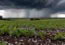 Granizo e tempestades voltam ao Sul entre sexta e sábado, diz Inmet