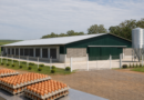 Granja de Herval recebe aval para iniciar criação de aves de postura