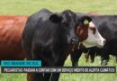 Novo serviço de alerta climático auxilia pecuaristas gaúchos no manejo