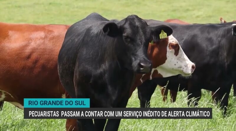 Novo serviço de alerta climático auxilia pecuaristas gaúchos no manejo