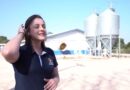 Pneumonia enzoótica suína: cuidados e prevenção nas granjas