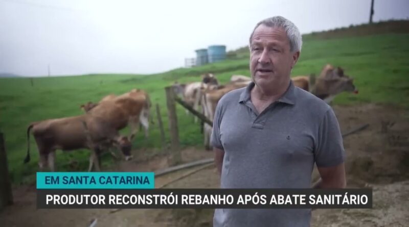 Produtor de Santa Catarina se reergue após perder rebanho para tuberculose