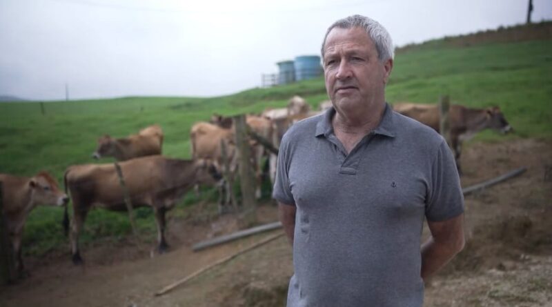 produtor SC rebanho vacas leiteiras