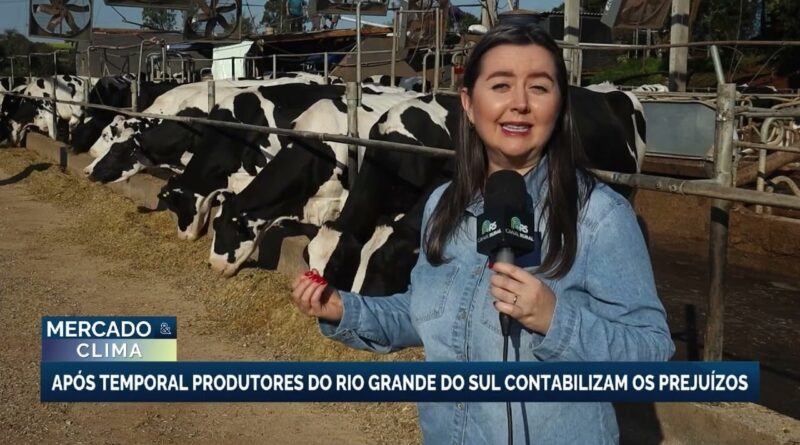 Produtores rurais do RS enfrentam prejuízos após tempestade severa