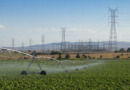 Projeto sobre tarifa de energia para irrigação avança no Senado com emendas para térmicas