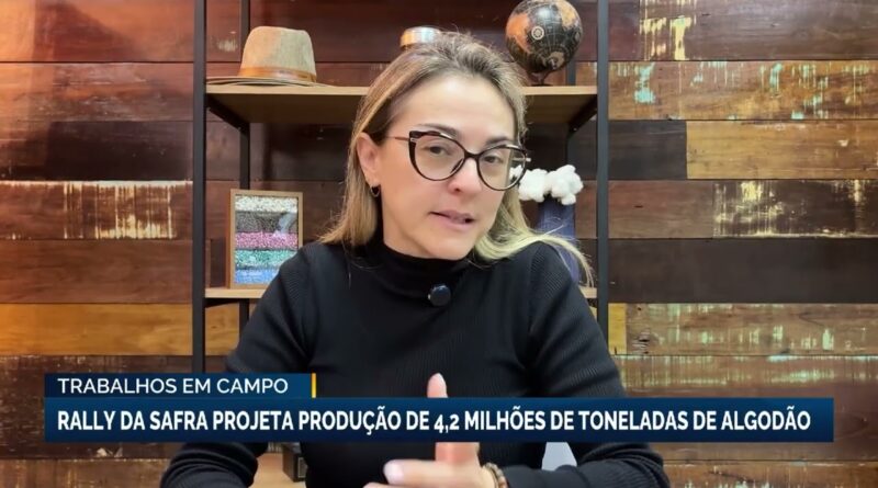 Rally da Safra inicia avaliação da produção de algodão no Brasil em 2025