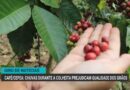 São Paulo libera crédito emergencial para produtores afetados por temporal