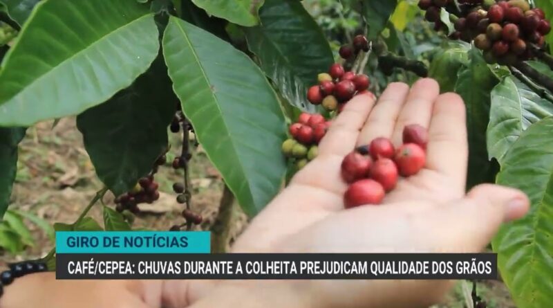 São Paulo libera crédito emergencial para produtores afetados por temporal