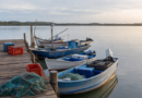 Seguro-defeso retroativo começa a ser pago a pescadores artesanais