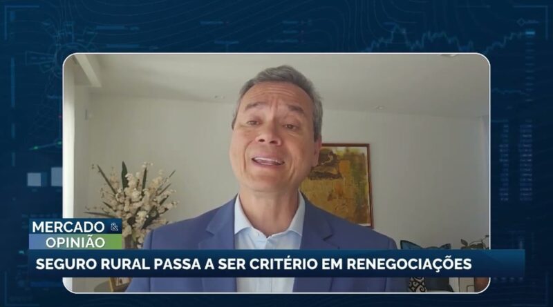 Seguro rural se torna essencial nas renegociações de dívidas agrícolas
