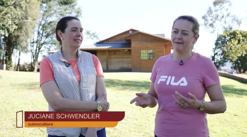 Suinocultura brasileira cresce com a nova geração de mulheres no campo