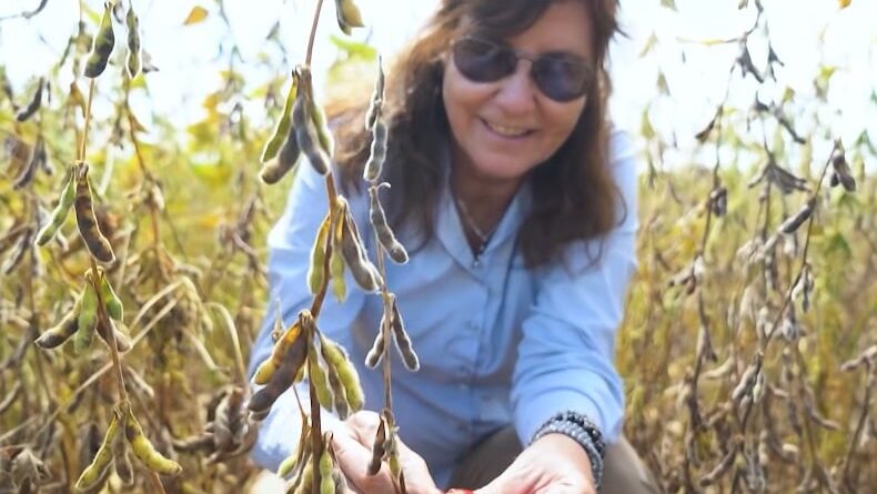 Sustentabilidade dá resultado para a soja? Fazenda mostra que preservação e meio ambiente caminham juntos