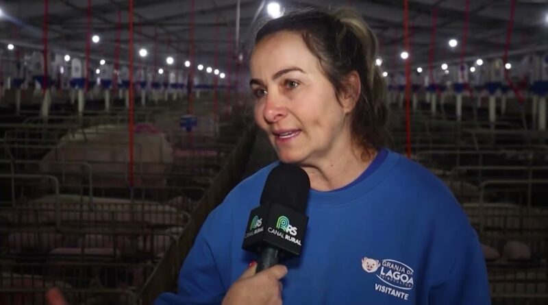 Tecnologia e manejo elevam a suinocultura brasileira a novos patamares
