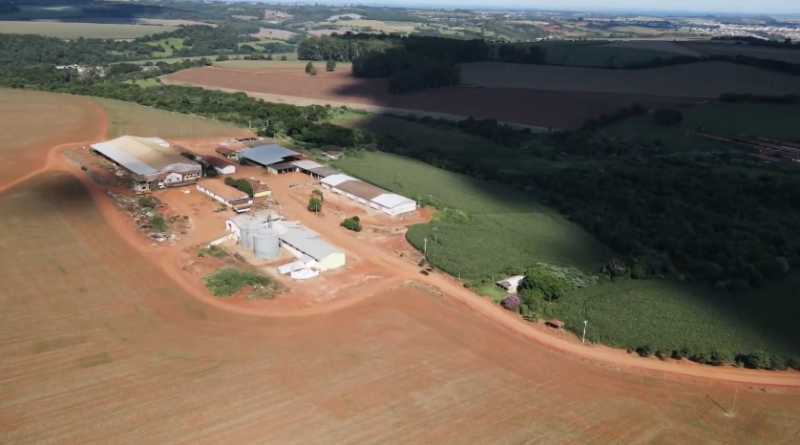 Tecnologia, manejo e precisão: a receita por trás de uma soja campeã