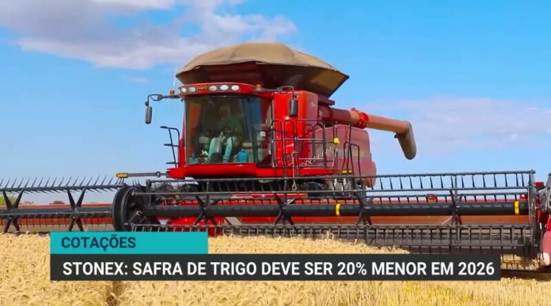 Trigo deve manter preços firmes com safra reduzida em 20%, diz StoneX