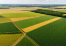 USDA eleva estimativa de área plantada com soja nos Estados Unidos