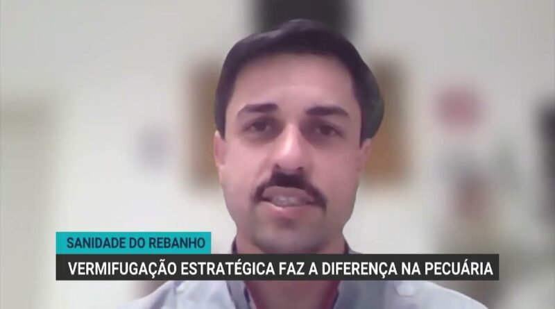 Vermifugação de gado: estratégias para combater resistência parasitária