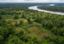 Fundo Amazônia destina R$ 34,6 milhões a projeto agroecológico no Pará e em Mato Grosso