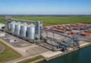 Agronegócio paulista registra superávit de US$ 12,16 bilhões até julho