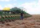 safra de grãos, soja, safra 2024/25, plantio antecipado, bahia