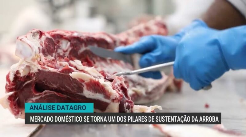 Arroba do boi atinge R$ 348 em São Paulo com mercado doméstico forte