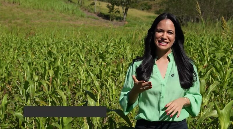 Avanço dos javalis causa prejuízos significativos a produtores rurais