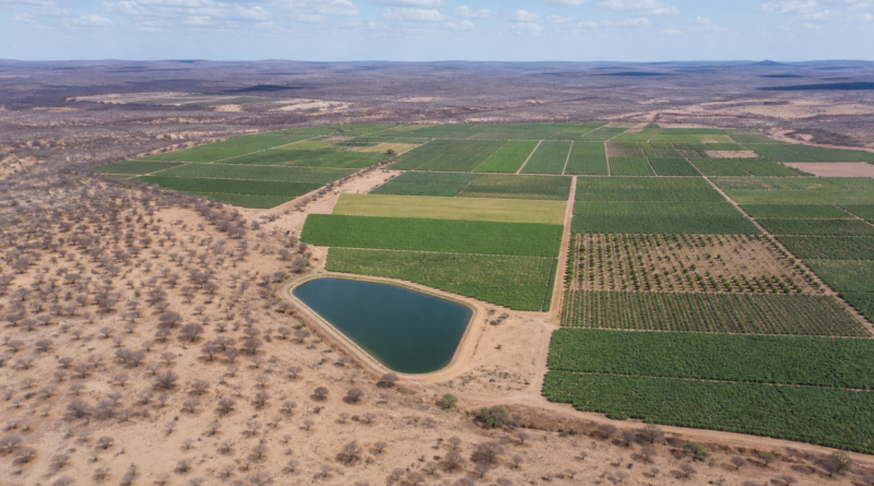 BNDES aprova R$ 72,5 milhões para a agropecuária do Piauí no semestre