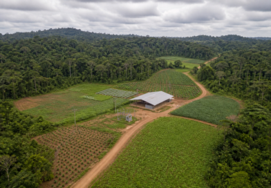 BNDES eleva aprovações de crédito no Amapá para R$ 153,5 milhões no semestre