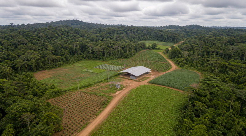 BNDES eleva aprovações de crédito no Amapá para R$ 153,5 milhões no semestre