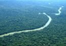 Amazônia e Mata Atlântica